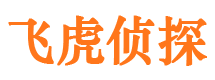 广阳市私家侦探